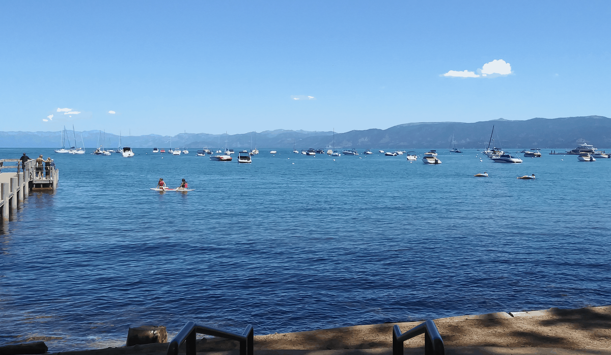 Tahoe license plate funds  research, clean-ups and aquatic invasive species projects