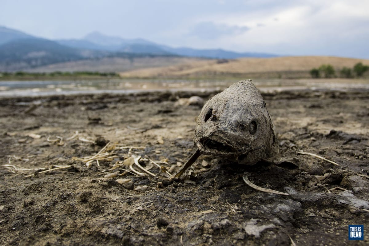 PHOTOS: Drought conditions grip Little Washoe Lake