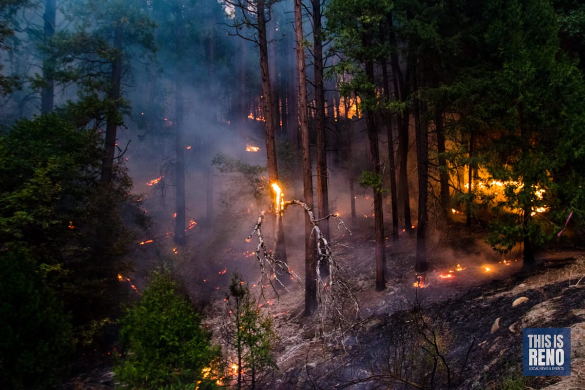 TRPA updates forestry policy to improve fire management efforts
