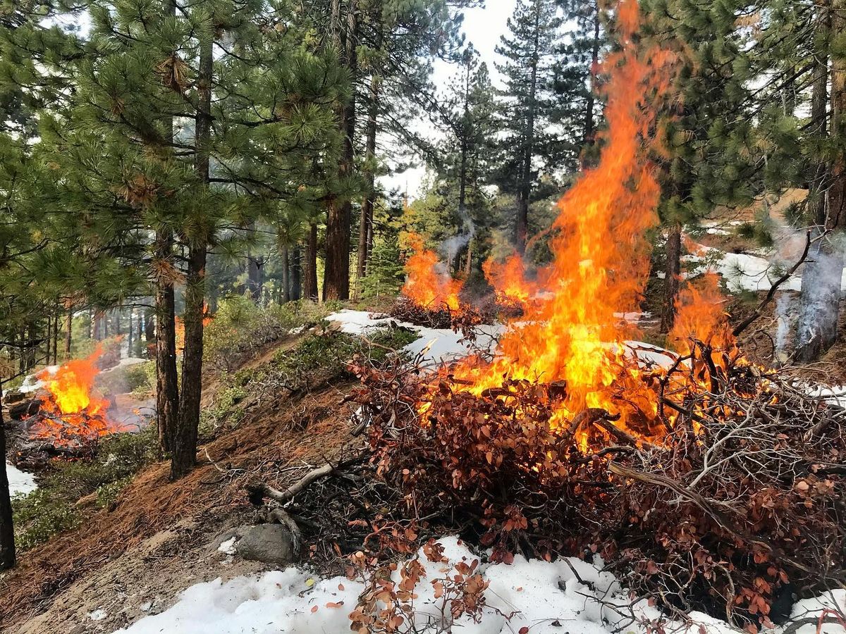 Living with Fire virtual series: "Prescribed fire in the Tahoe Basin and Nevada" (sponsored)
