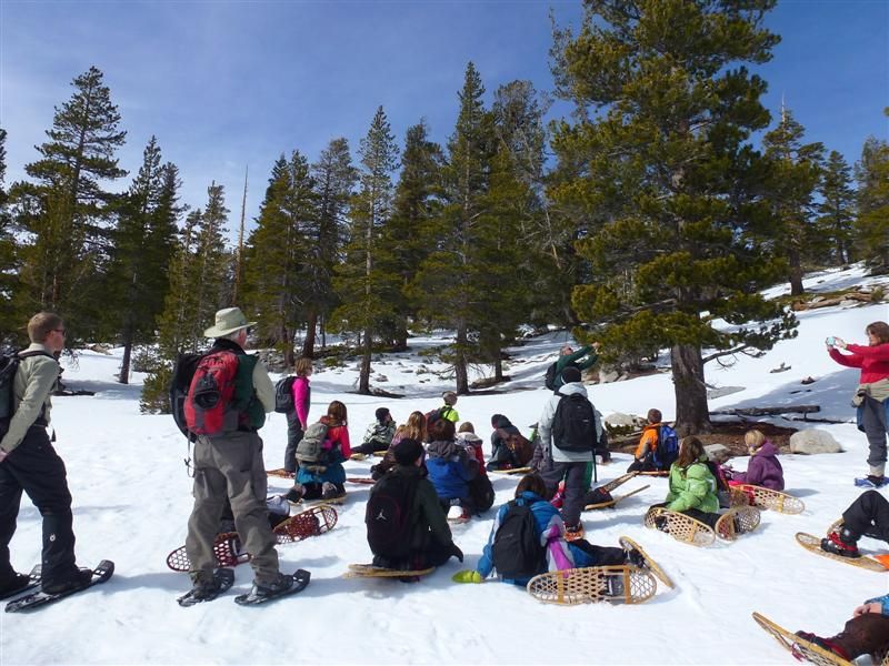 Forest Service seeks Winter Trek volunteers for March