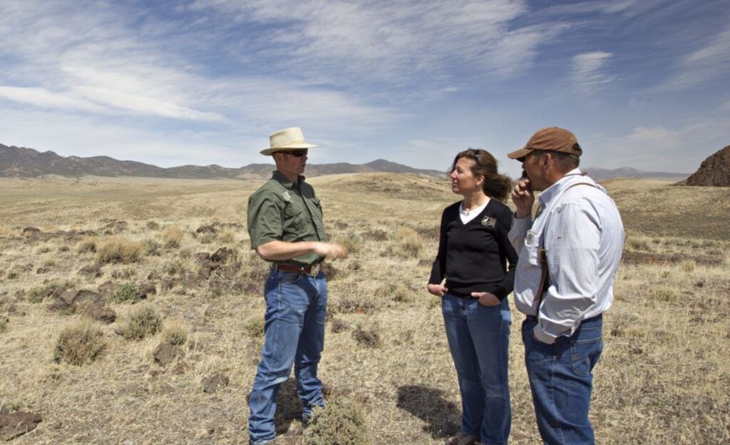Infrastructure law funds Nevada sagebrush restoration projects