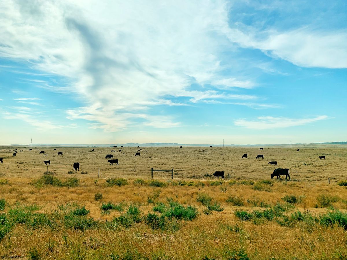 Colorado River crisis requires confronting sacred cow