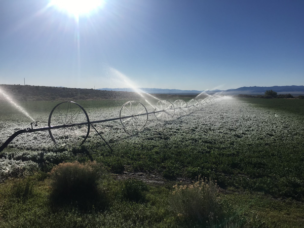 Sprinkler on fields in rural Nevada