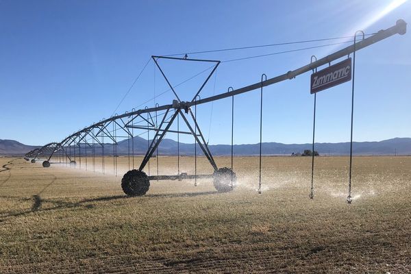 At the Experiment Station’s Great Basin Research & Extension Center, researchers are using a variable rate irrigation syste