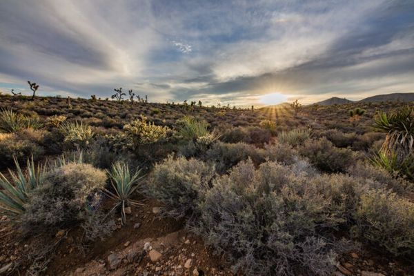 Growing support for national monument designation of Avi Kwa Ame has brought together Nevada tribes, rural towns, business le