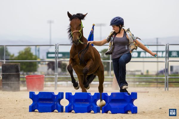 A participant in the 4-H Horse Program shows off her wild horse's skills. Image: Ty O'Neil / This Is Reno